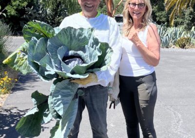 Cabbage 1 - Euphoria's Wellness Retreat at Sonocaia's Hydeout and lots of other fun stuff