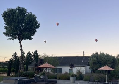 Sonocaia balloon 3 - Join us for some fun in the Sonoma Valley