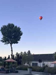 Sonocaia balloon 4 - Compelling fun in the Sonoma Valley