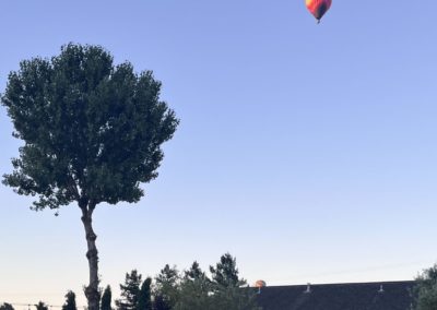 Sonocaia balloon 4 - Join us for some fun in the Sonoma Valley