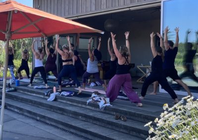 Yoga 1 - Join us for some fun in the Sonoma Valley