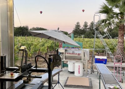 Balloons 1 - A pictorial grape-to-glass wine journey