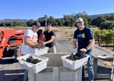 Grenache 1 - A pictorial grape-to-glass wine journey