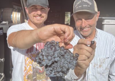 Grenache 4 - A pictorial grape-to-glass wine journey