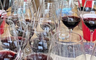 Winter Wine Wonderland: Seasonal Sips, News, and Experiences, from Sonocaia